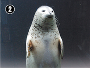 �S�}�t�A�U���V