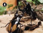 �Z�A�J�t�^�}�^�u�r���[�����J���v�I�I�J�u�g