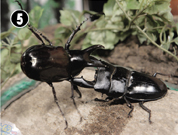 �X�}�g���I�I�q���^�u�r���[�����J���v�I�I�J�u�g